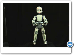 iCUB ROBOT