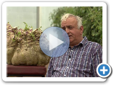 Worlds largest vegetables